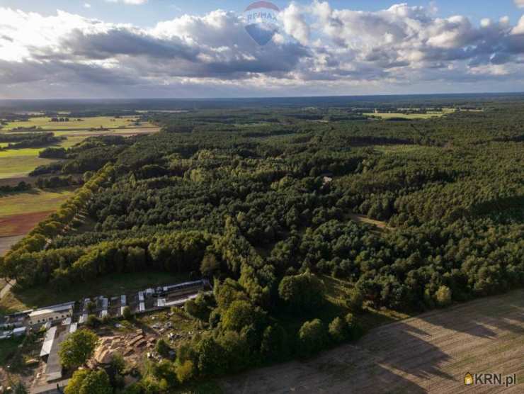 RE/MAX Polska, Działki  na sprzedaż, Jędrzejewo, ul. 