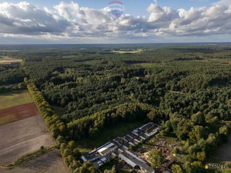 Działki  na sprzedaż, Jędrzejewo, ul. , 