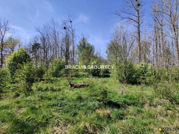 BRACIA SADURSCY ODDZIAŁ BS4 KROWODRZA, Działki  na sprzedaż, Łukta, ul. 