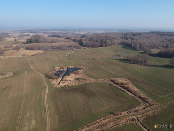 Działki  na sprzedaż, Ząbrowiec, ul. , 