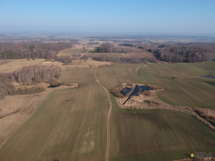 Działki  na sprzedaż, , Ząbrowiec, ul. 