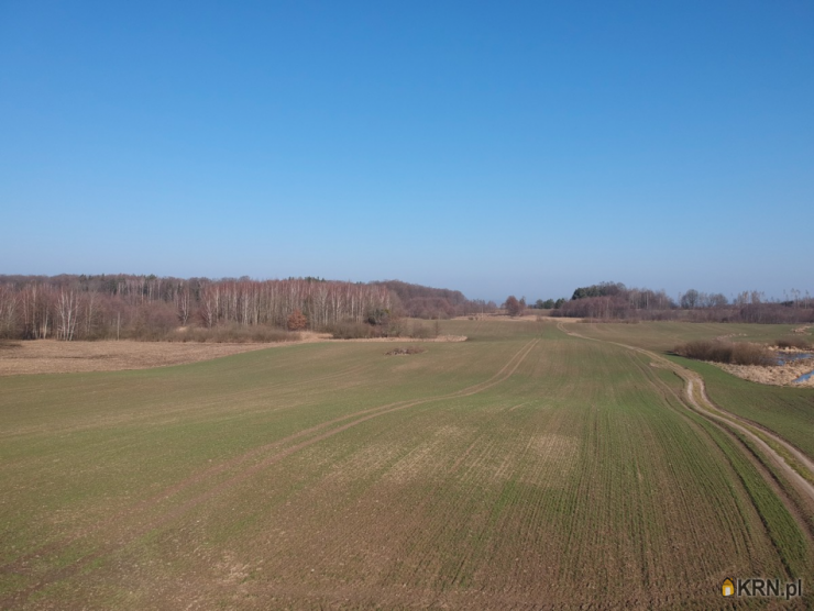 , Działki  na sprzedaż, Ząbrowiec, ul. 