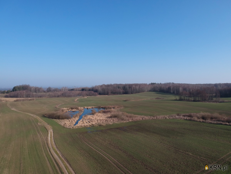 Szulc & Szulc Nieruchomośc, Działki  na sprzedaż, Ząbrowiec, ul. 