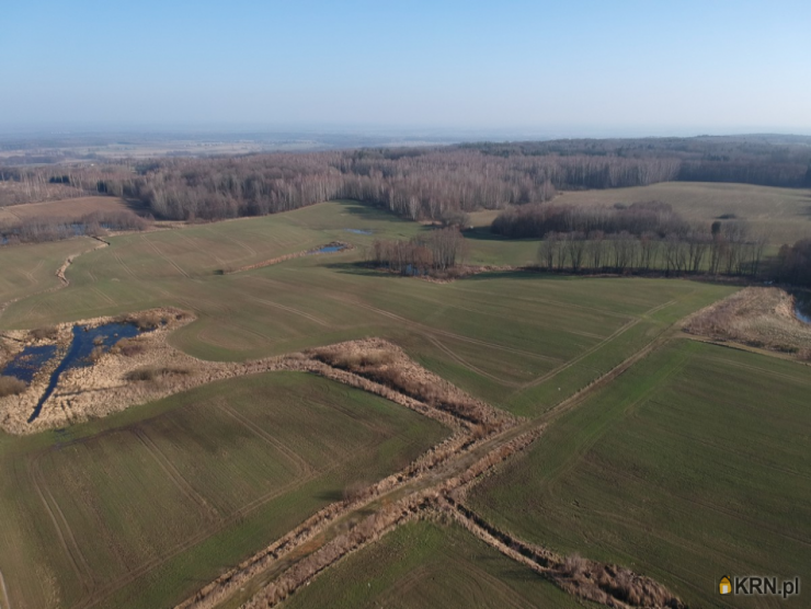 Działki  na sprzedaż, , Ząbrowiec, ul. 