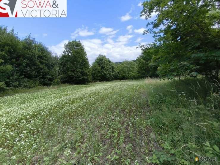 Działki  na sprzedaż, , Stare Bogaczowice, ul. 