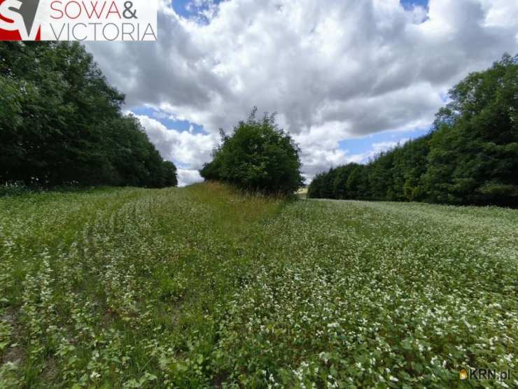 Stare Bogaczowice, ul. , Działki  na sprzedaż, 