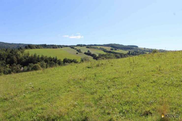 Działki  na sprzedaż, , Królik Polski, ul. 