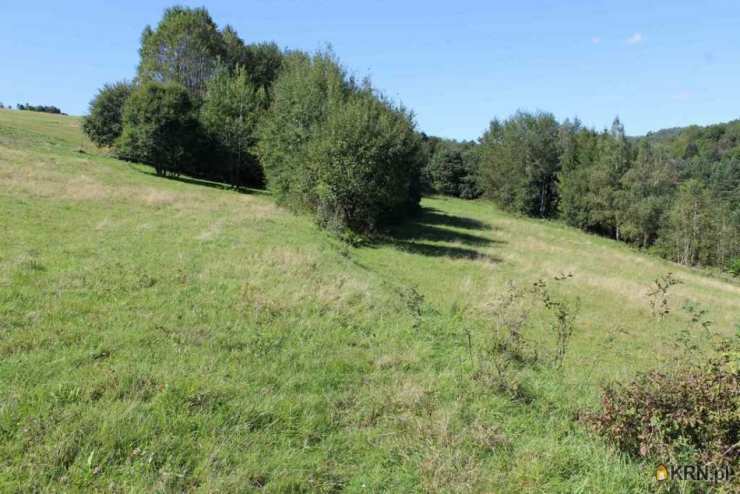 , Działki  na sprzedaż, Królik Polski, ul. 