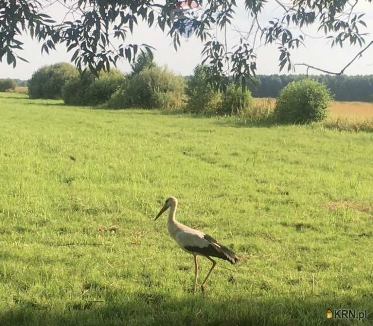 Mariew, ul. , , Działki  na sprzedaż