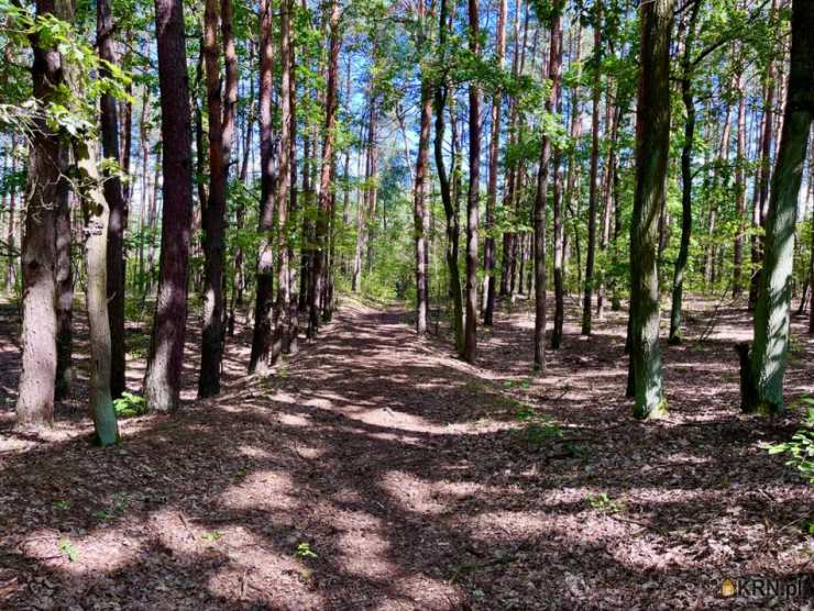 Działki  na sprzedaż, , Mariew, ul. 