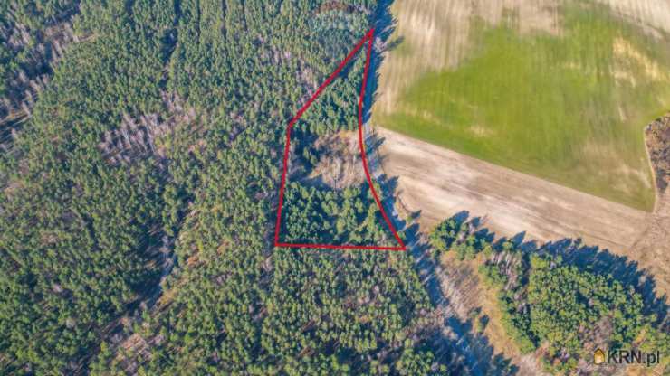 Kuźnica Żelichowska, ul. , Działki  na sprzedaż, 