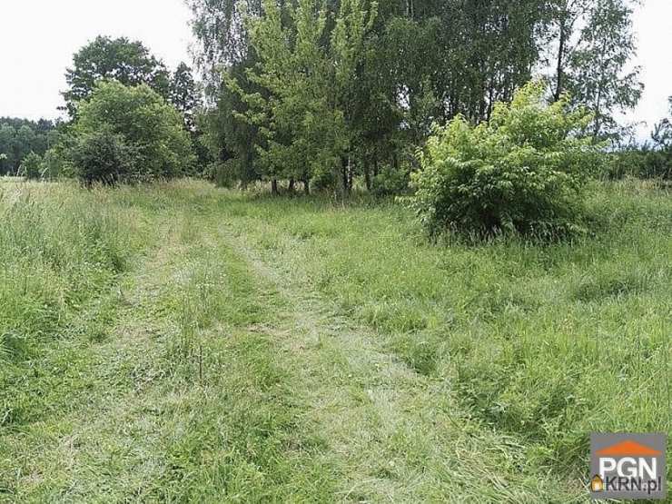 Pomorska Giełda Nieruchomości, Działki  na sprzedaż, Niechorze, ul. 