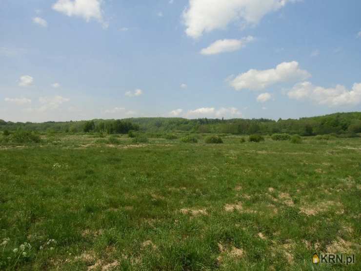 Działki  na sprzedaż, Połchówko, ul. , 