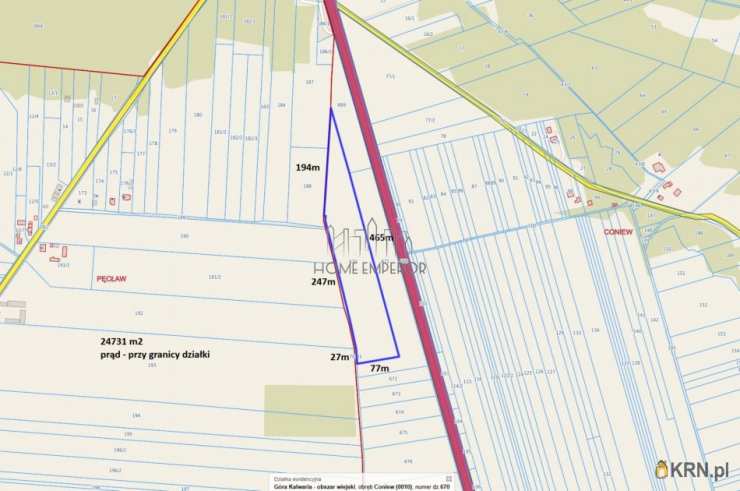 Działki  na sprzedaż, Coniew, ul. , 