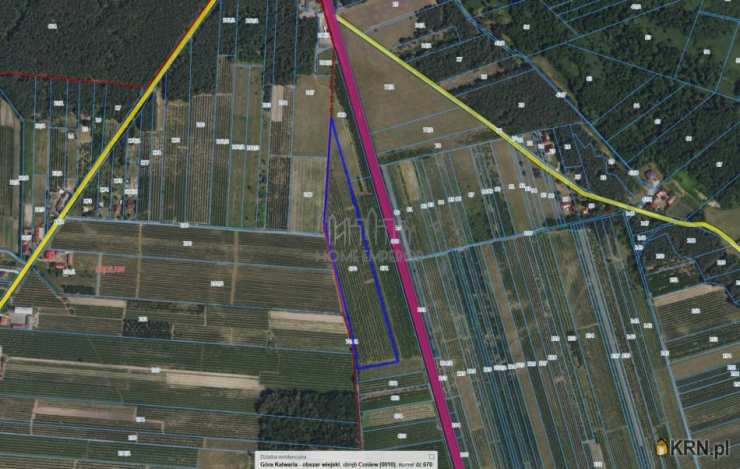 Coniew, ul. , Działki  na sprzedaż, 