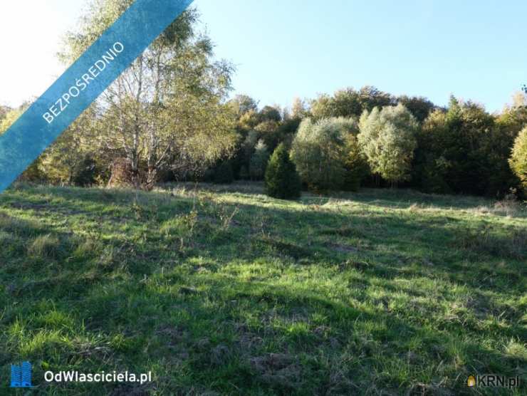 Działki  na sprzedaż, Brenna, ul. , 