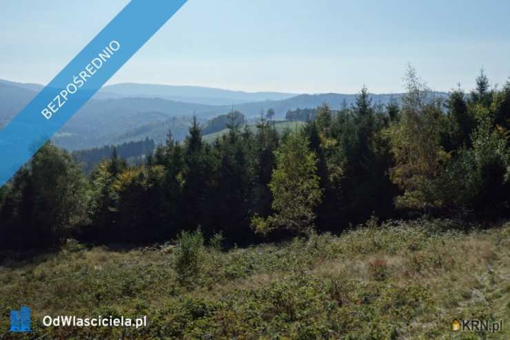 Działki  na sprzedaż, , Brenna, ul. 