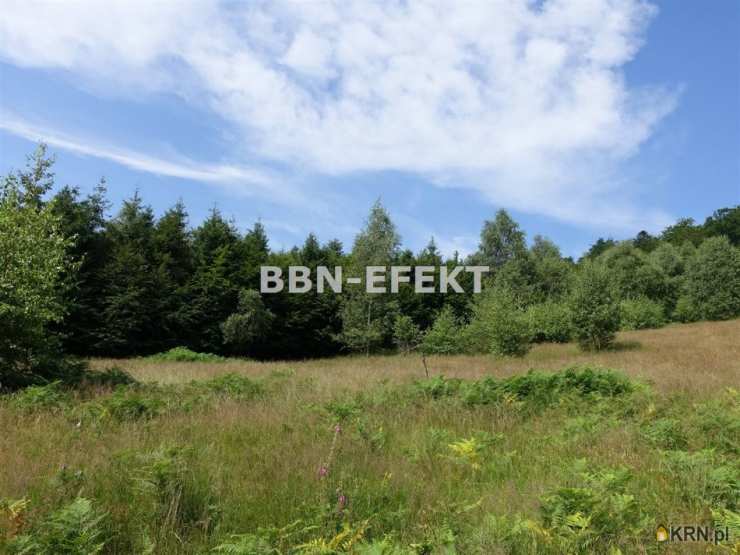 Działki  na sprzedaż, , Brenna, ul. 