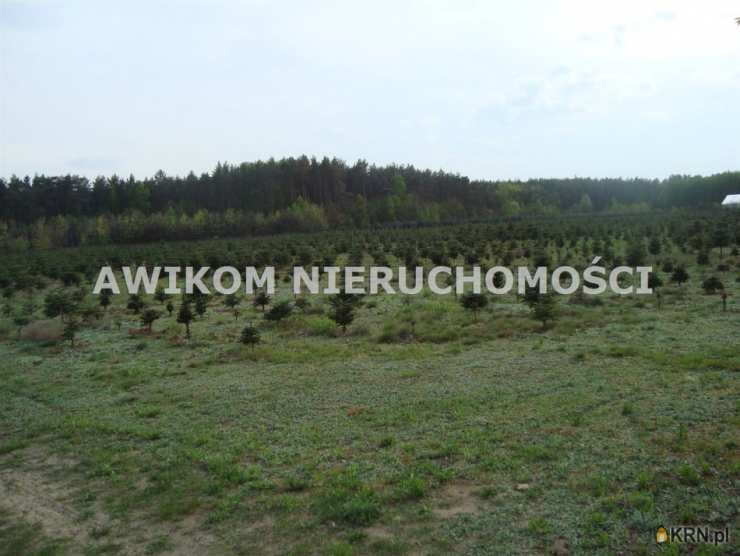 Działki  na sprzedaż, Grzegorzewice, ul. , 