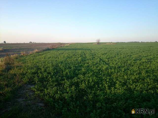 Działki  na sprzedaż, , Bytyń, ul. 