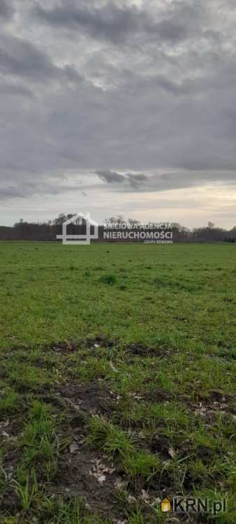 Sarbsk, ul. , , Działki  na sprzedaż