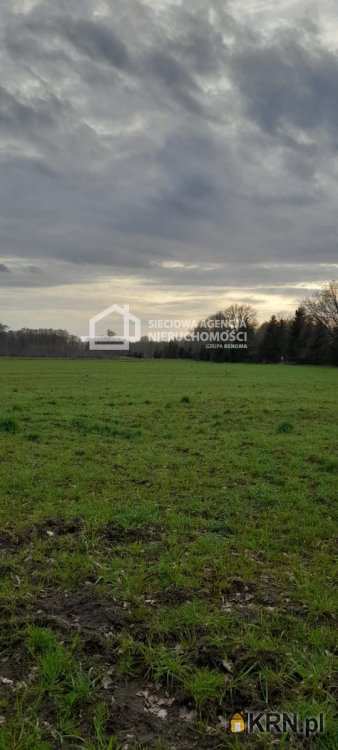 Działki  na sprzedaż, Sarbsk, ul. , 