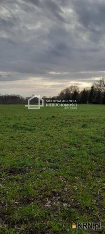 Sarbsk, ul. , Działki  na sprzedaż, 