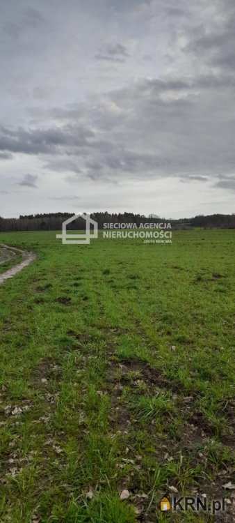 Sarbsk, ul. , , Działki  na sprzedaż