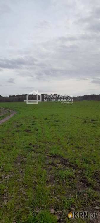 , Działki  na sprzedaż, Sarbsk, ul. 