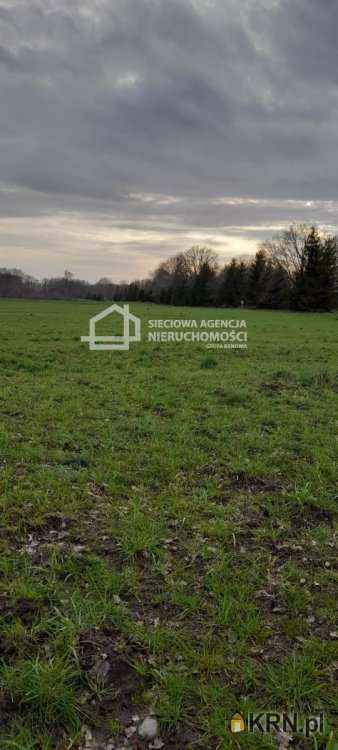 Sarbsk, ul. , Działki  na sprzedaż, 