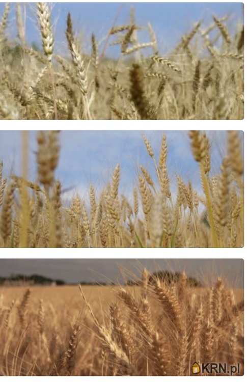 Działki  na sprzedaż, , Gniewkowo, ul. 