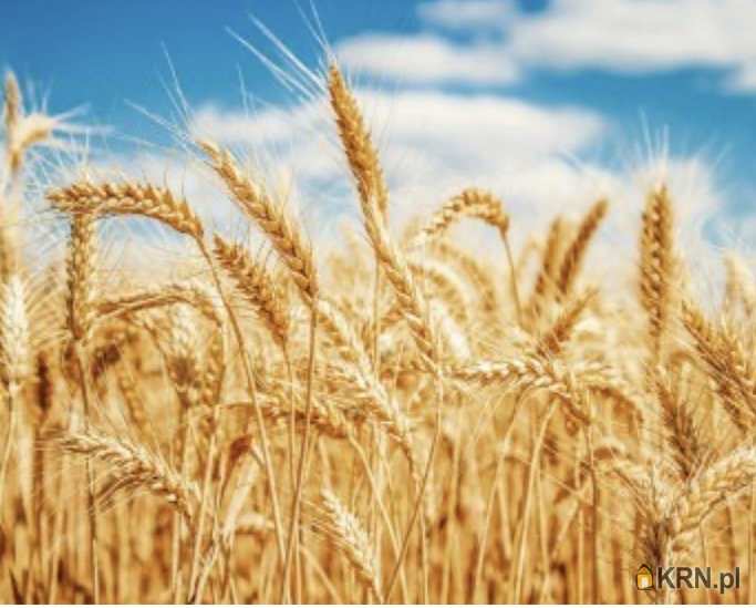 , Gniewkowo, ul. , Działki  na sprzedaż