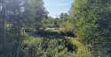 Działki na sprzedaż, Nowy Wiśnicz