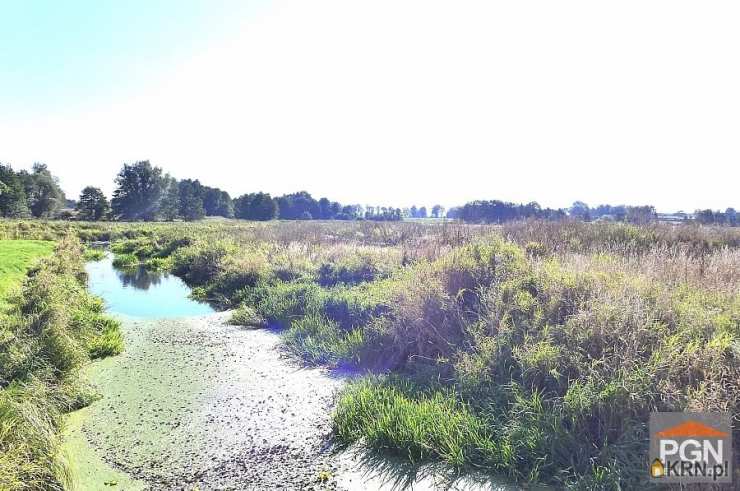 Działki  na sprzedaż, Borucin, ul. , 