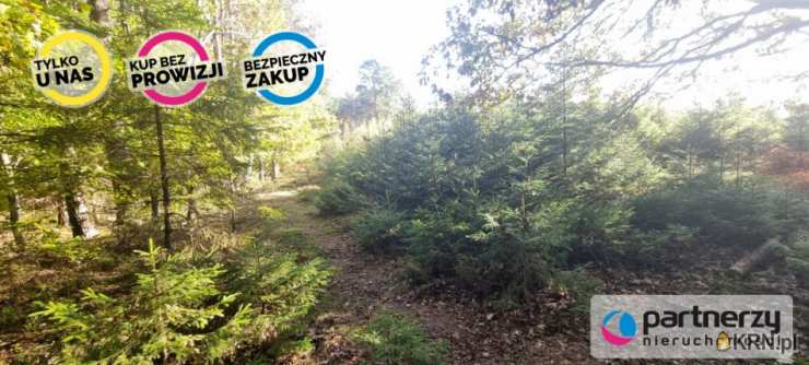 Działki  na sprzedaż, Bieszkowice, ul. , 