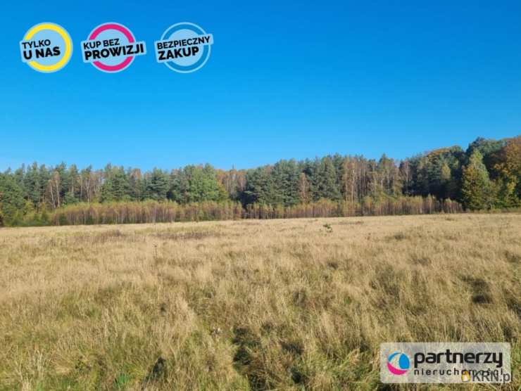 Działki  na sprzedaż, , Bieszkowice, ul. 