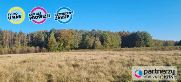 Działki  na sprzedaż, , Bieszkowice, ul. 