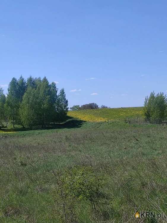 Działki  na sprzedaż, Stare Sady, ul. , 