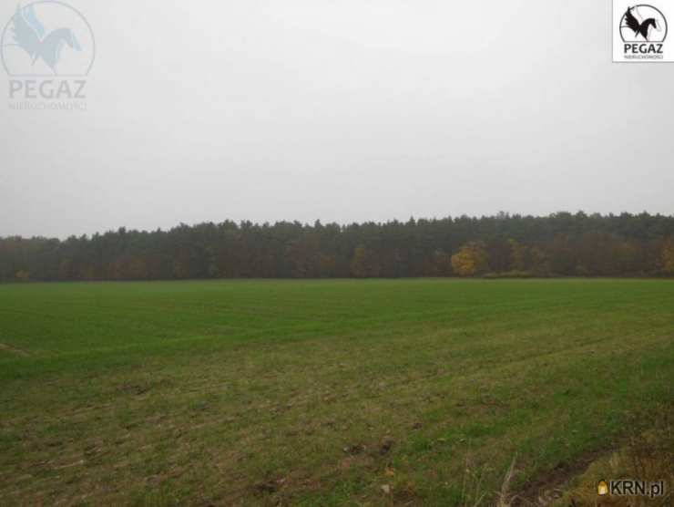 Lechlin, ul. , , Działki  na sprzedaż