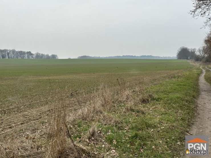 Działki  na sprzedaż, Chrząszczewo, ul. , 
