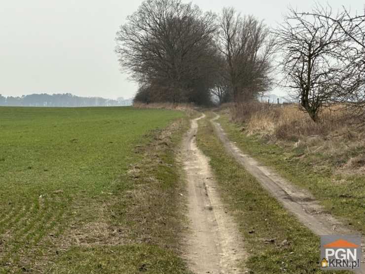 Chrząszczewo, ul. , , Działki  na sprzedaż
