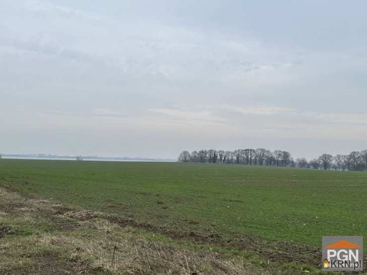 , Działki  na sprzedaż, Chrząszczewo, ul. 