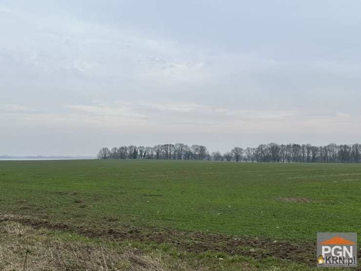 Pomorska Giełda Nieruchomości, Działki  na sprzedaż, Chrząszczewo, ul. 