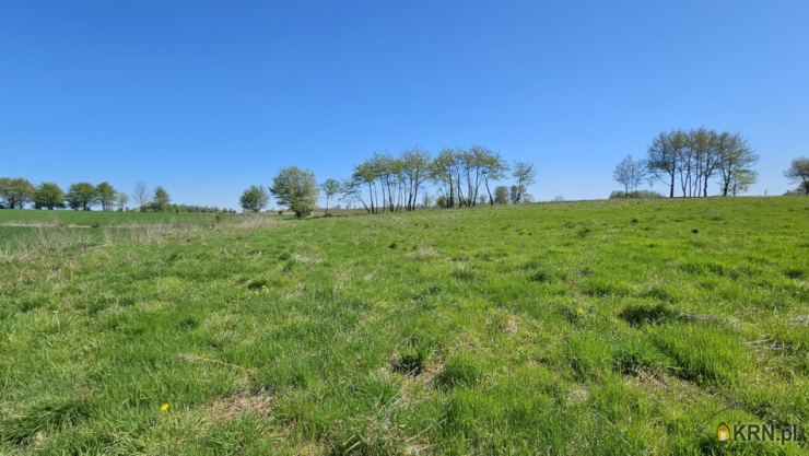 Działki  na sprzedaż, Pomorska Wieś, ul. , 