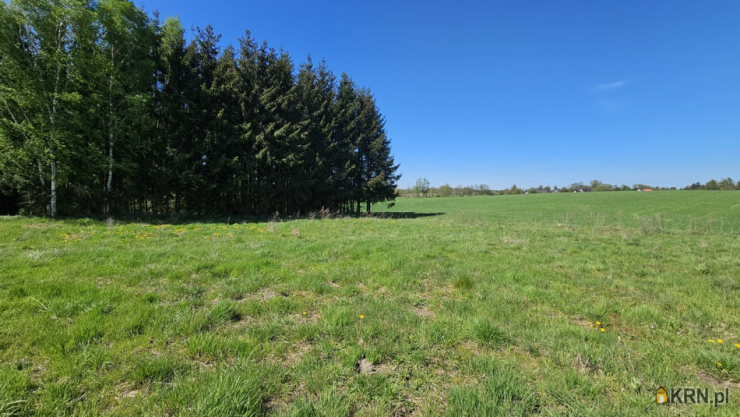 Pomorska Wieś, ul. , Działki  na sprzedaż, 