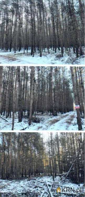 Działki  na sprzedaż, , Kamion, ul. 