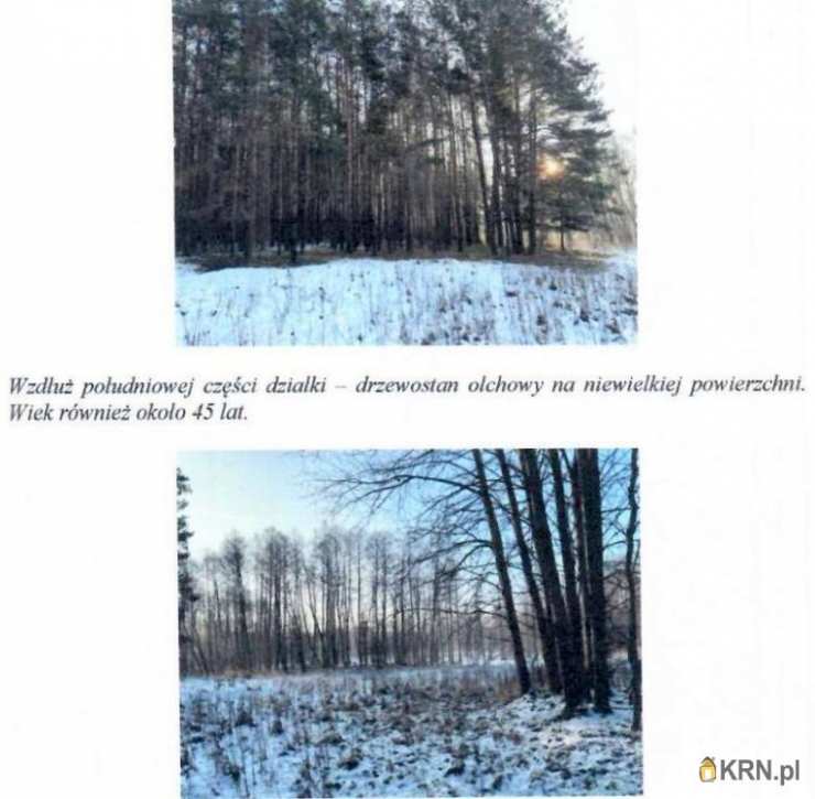 Kamion, ul. , Działki  na sprzedaż, 