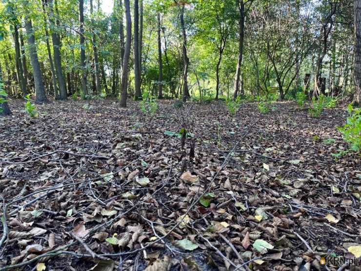 Mariew, ul. , Działki  na sprzedaż, 