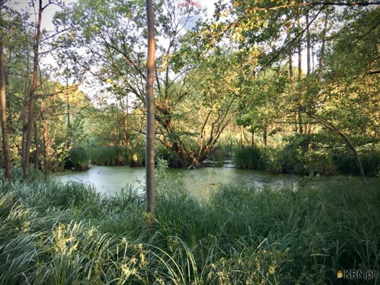 , Mariew, ul. , Działki  na sprzedaż