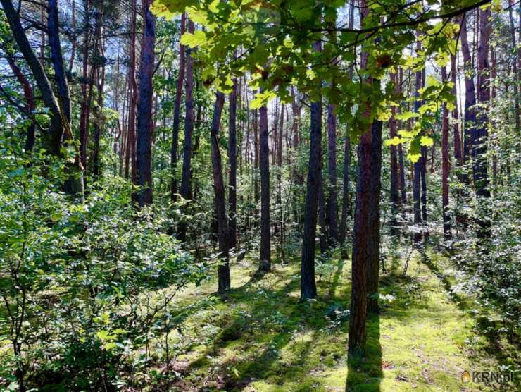 Mariew, ul. , , Działki  na sprzedaż